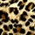 Animal Print